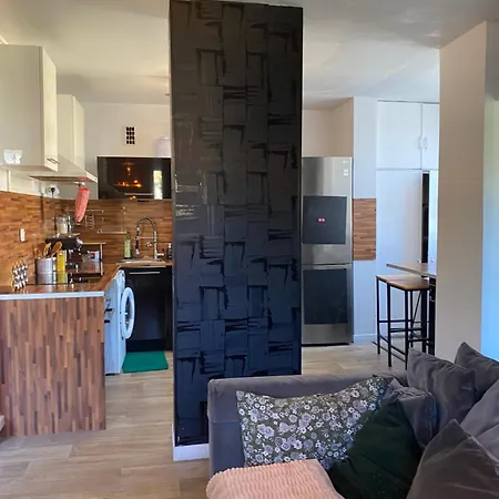 Bel Spacieux ,convivial De 3 Avec Parking Prive Secure