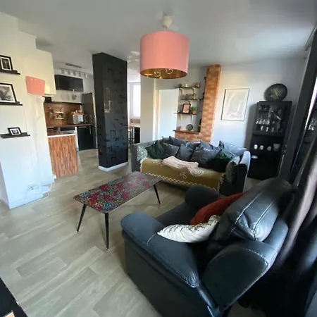Bel Spacieux ,convivial De 3 Avec Parking Privé Sécure