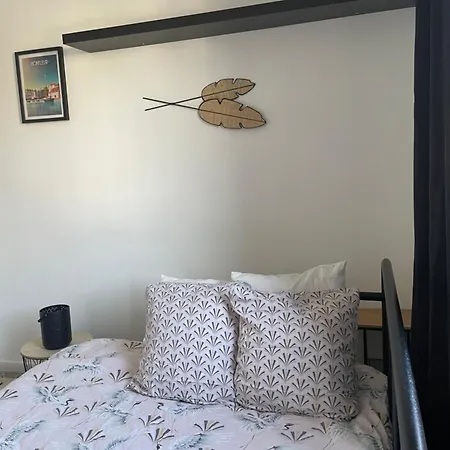 Appartement Bel Spacieux ,convivial De 3 Avec Parking Privé Sécure Caen