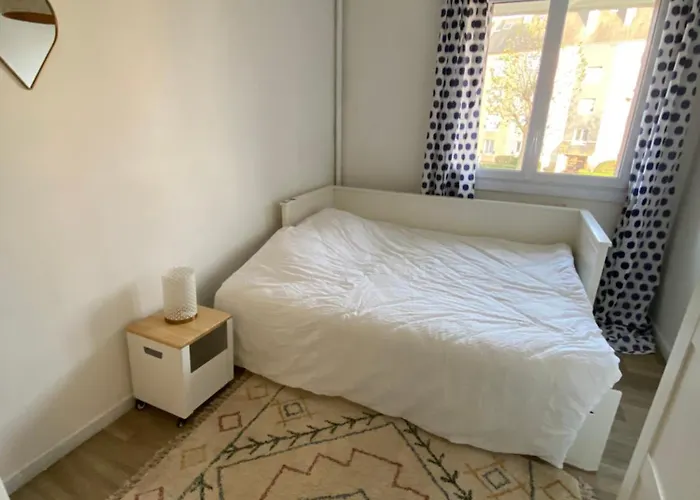 Appartement Bel Spacieux ,convivial De 3 Avec Parking Privé Sécure Caen