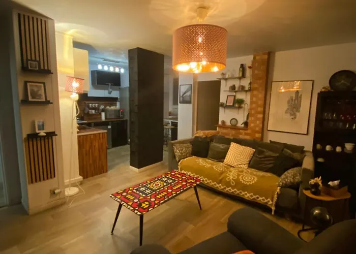 Appartement Bel Spacieux ,convivial De 3 Avec Parking Privé Sécure Caen