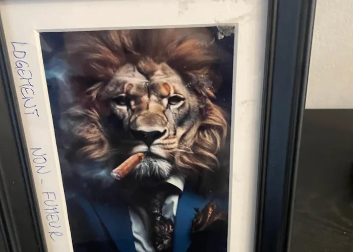 Bel Spacieux ,convivial De 3 Avec Parking Prive Secure Καν